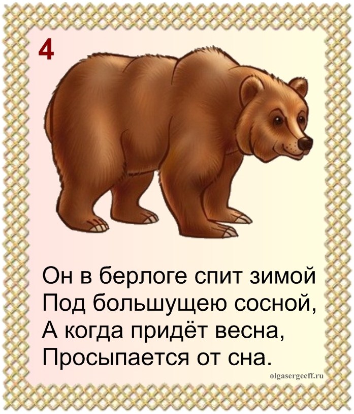 Сложные загадки про белых медведей. загадки про медведядля детей и взрослых