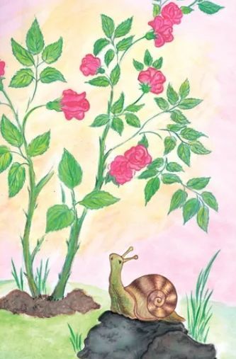 Улитка и роза — сказка для детей. автор г. х. андерсен