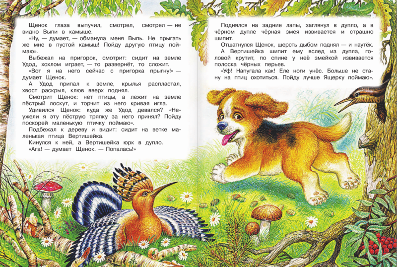 Биография виталия бианки для детей (2, 3, 4 класс) (жизнь и творчество)