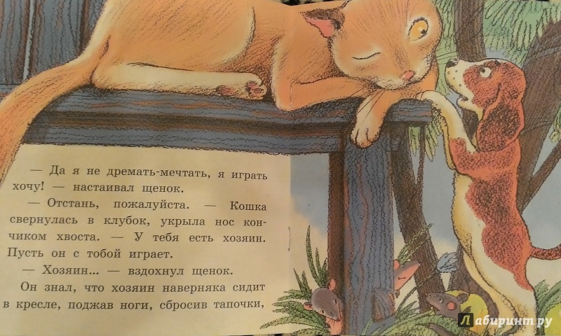 Сказка про кошку мурку читать онлайн бесплатно