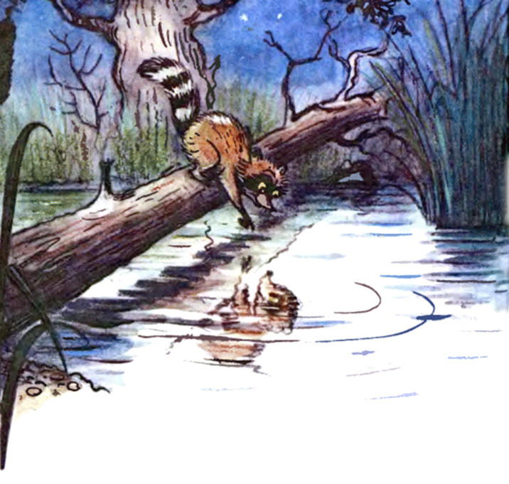 Сказка крошка енот и тот, кто сидит в пруду. лилиан муур ~ я happy мама
