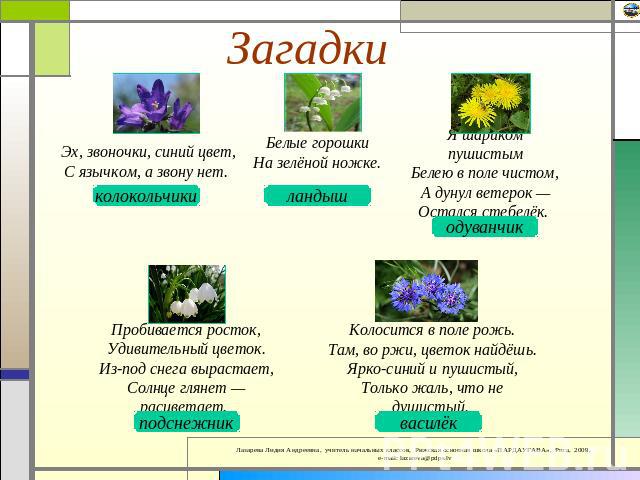 Загадки про растения: цветы, травы, лекарственные и комнатные