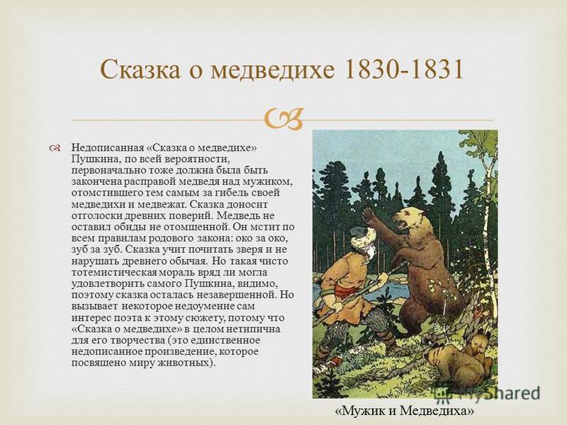 "сказка о медведихе": почему ее полезно прочитать взрослым :: syl.ru