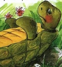 Черепахи » мбук г.о. самара "централизованная система детских библиотек"
