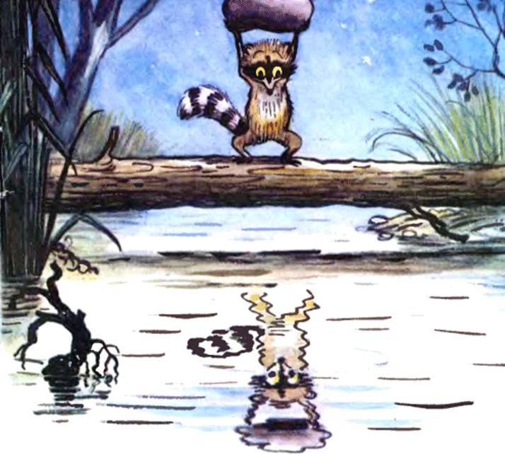 Муур «крошка енот и тот, кто сидит в пруду» читать