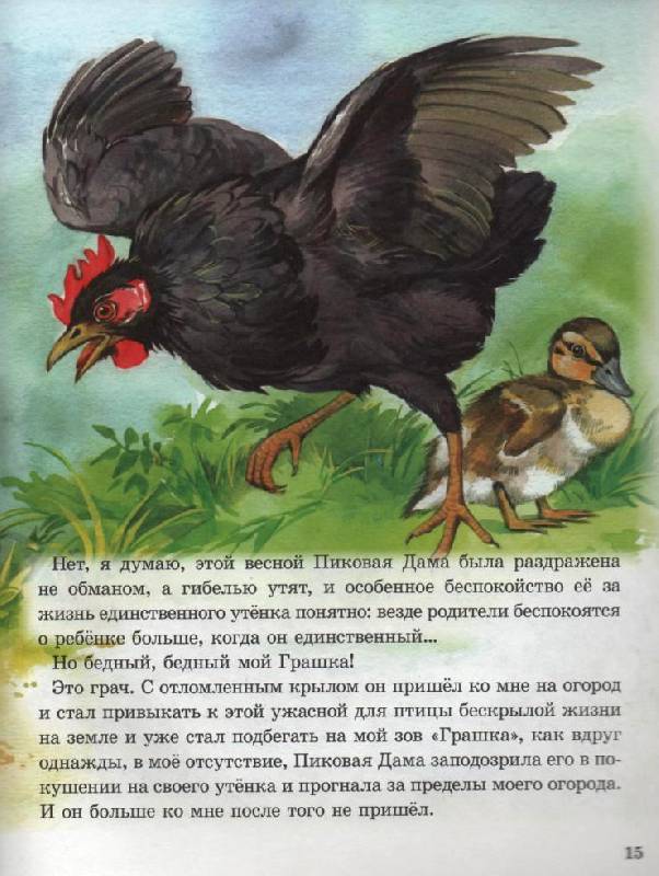 "курица на столбах" м. пришвина: краткое содержание и идея рассказа  — интемарт