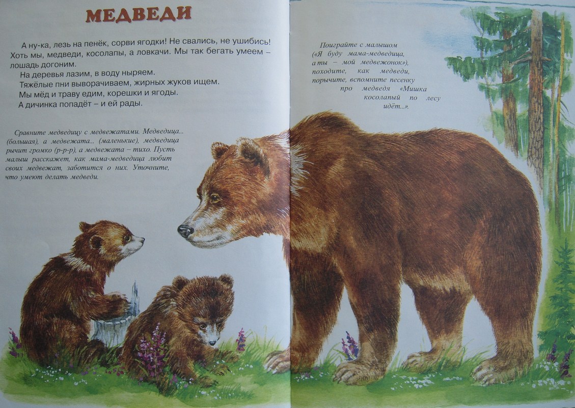 Про машу, медвежонка и звездочку — сказка на ночь для детей