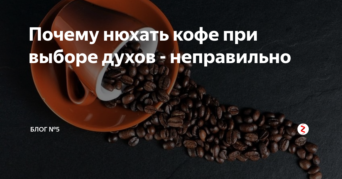Спойлер на wordpress без плагинов