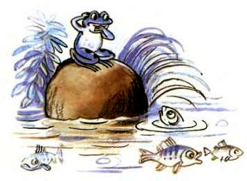 Читать сказку царевна-лягушка - русская сказка, онлайн бесплатно с иллюстрациями.