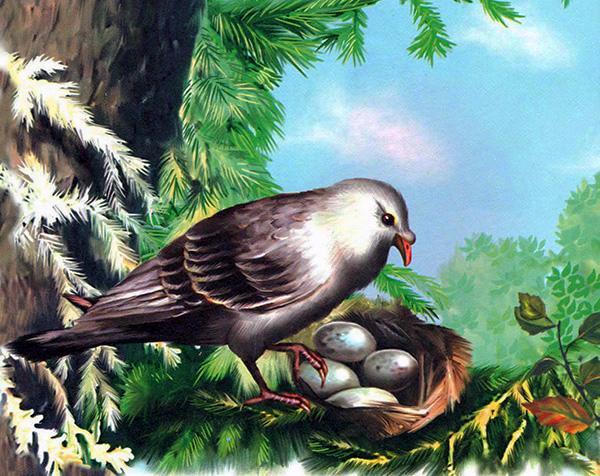 Рассказ виталия бианки «лесные домишки»: краткое содержание. бианки, «лесные домишки» — сказка о жизни птиц