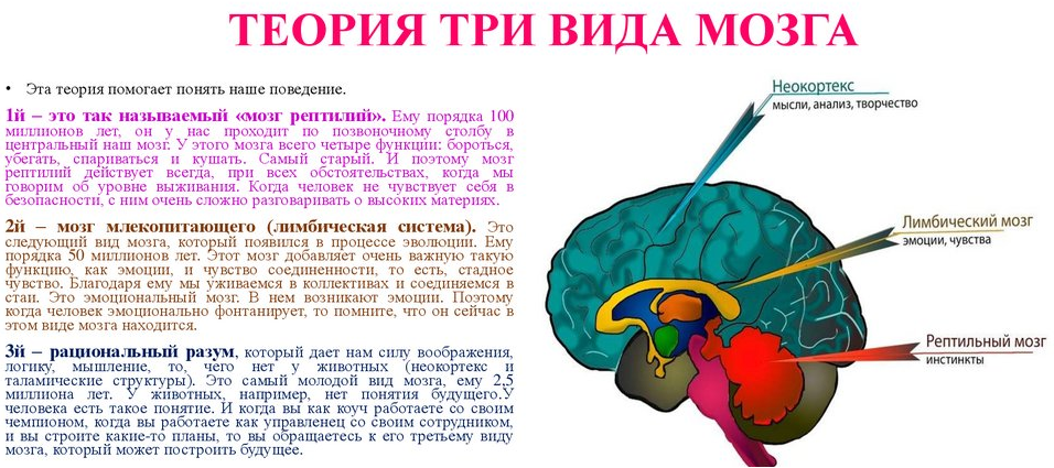 Особенности функционального состояния мозга подростков и возможность его произвольной регуляции