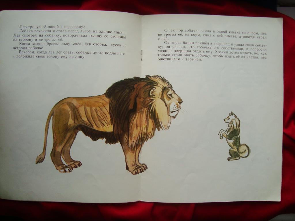 Анализ рассказа «лев и собачка» (л.н. толстой) | литрекон