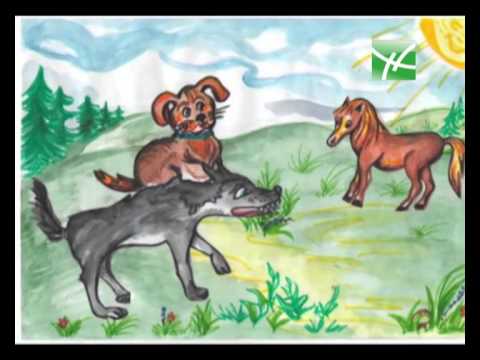 Собака и волк белорусская сказка