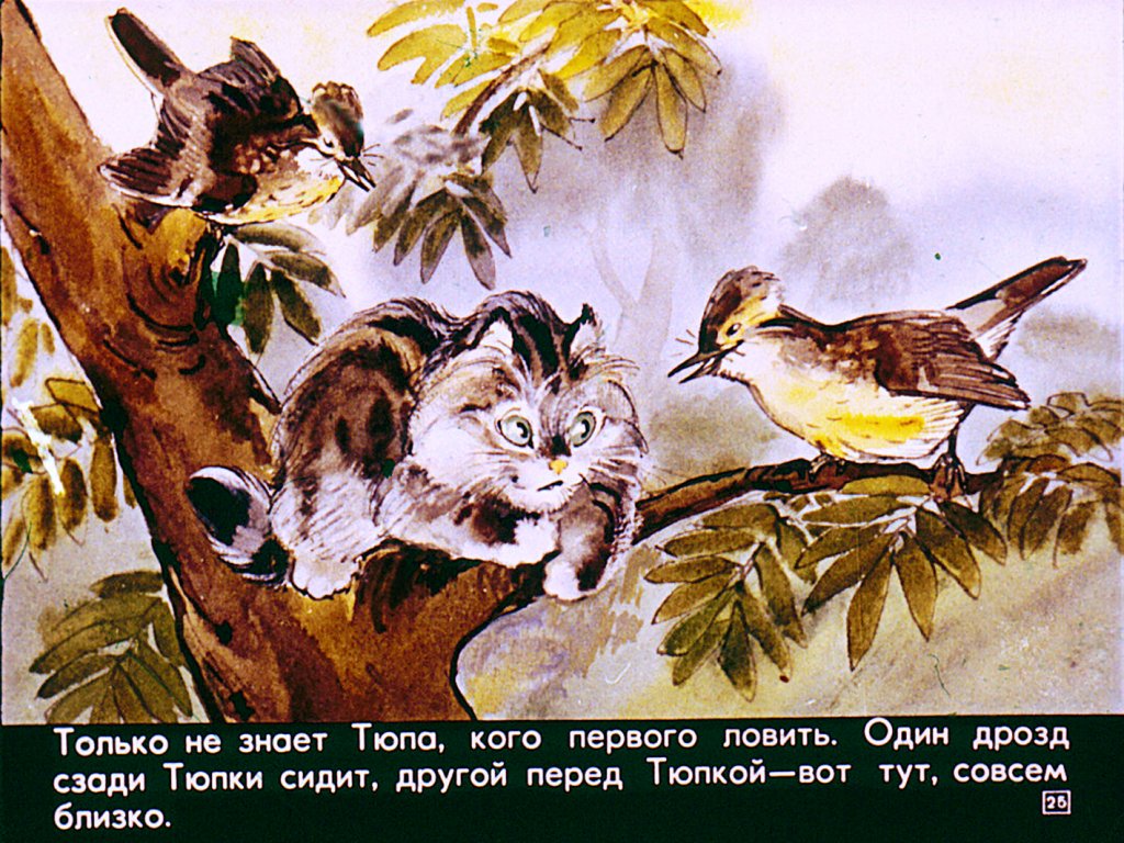 Читать сказку тюпа, томка и сорока - чарушин е. - отечественные писатели, онлайн бесплатно с иллюстрациями.