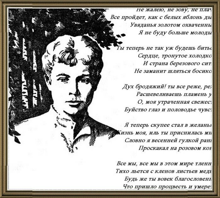 Какому поэту адресовано стихотворение. Стихотворение писателя Есенина. Не жалею не зову не плачу Есенин. Стихи Есенина.