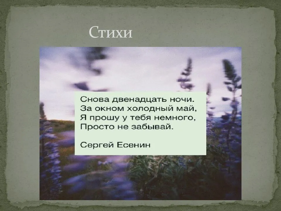Стихи есенина которые легко учатся - читать все на стихи поэта.ру