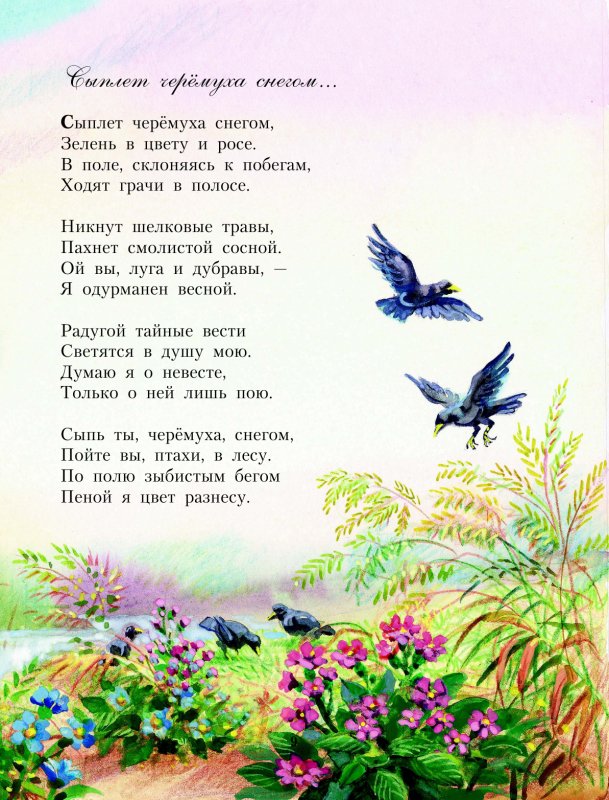 Cтихи есенина о родине - читать все на стихи поэта.ру