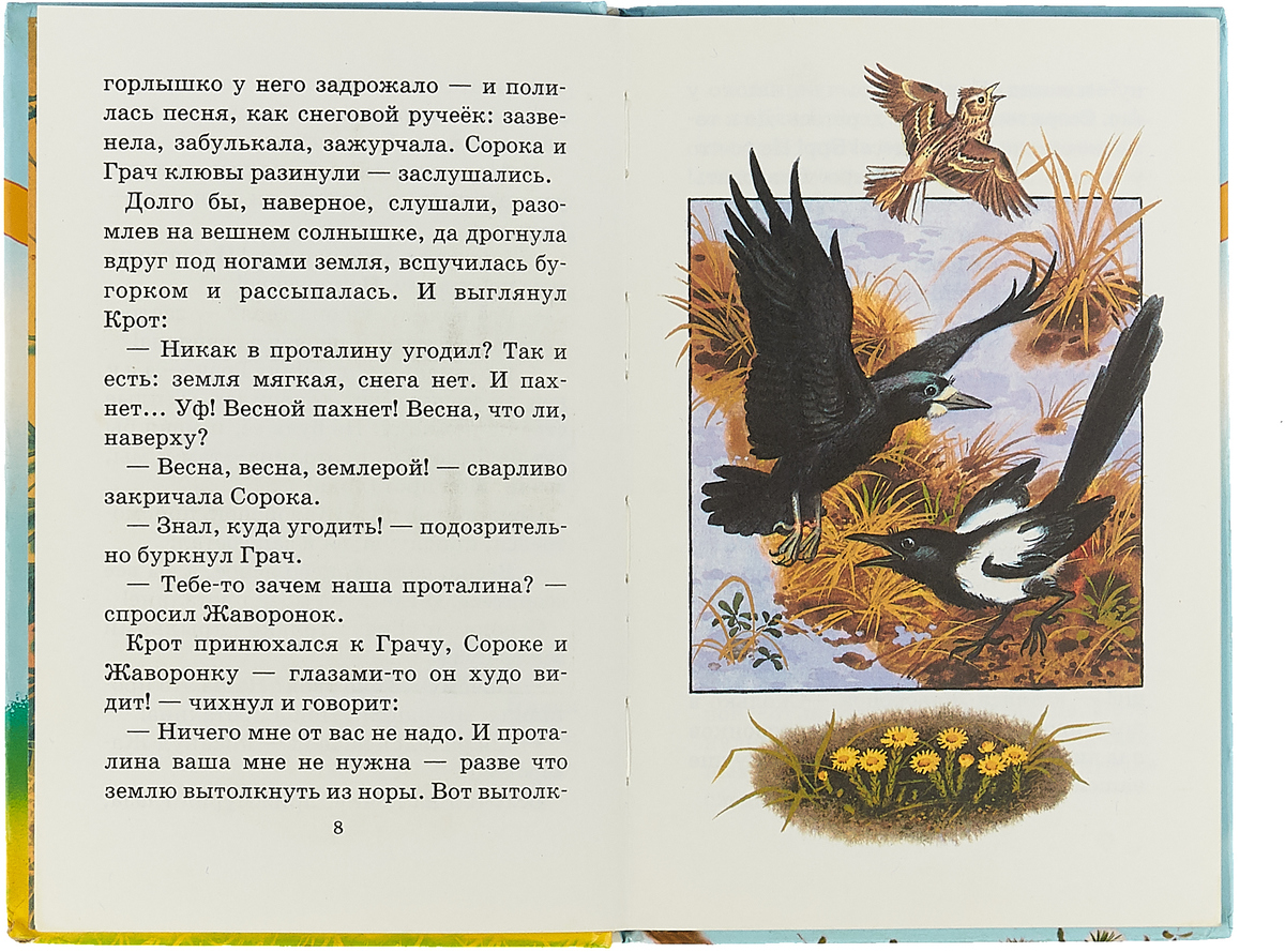 Лесные сказки 2 - николай сладков - страница 2 из 4 - stranakids.ru