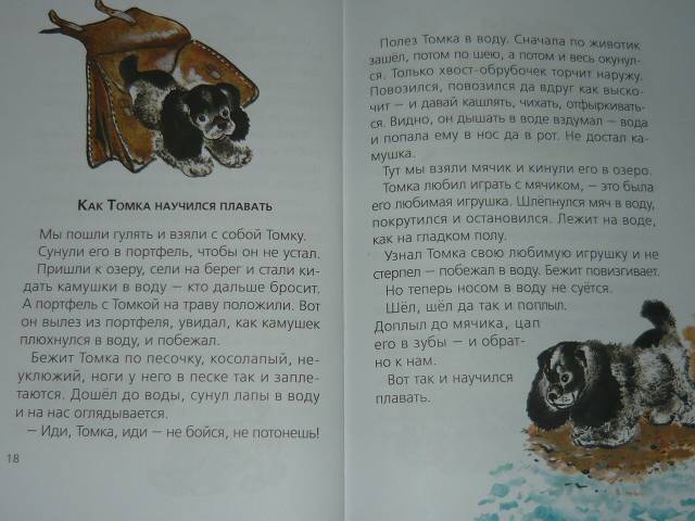 Евгений чарушин верный трой - мои файлы  - рассказы о собаках - истории о животных