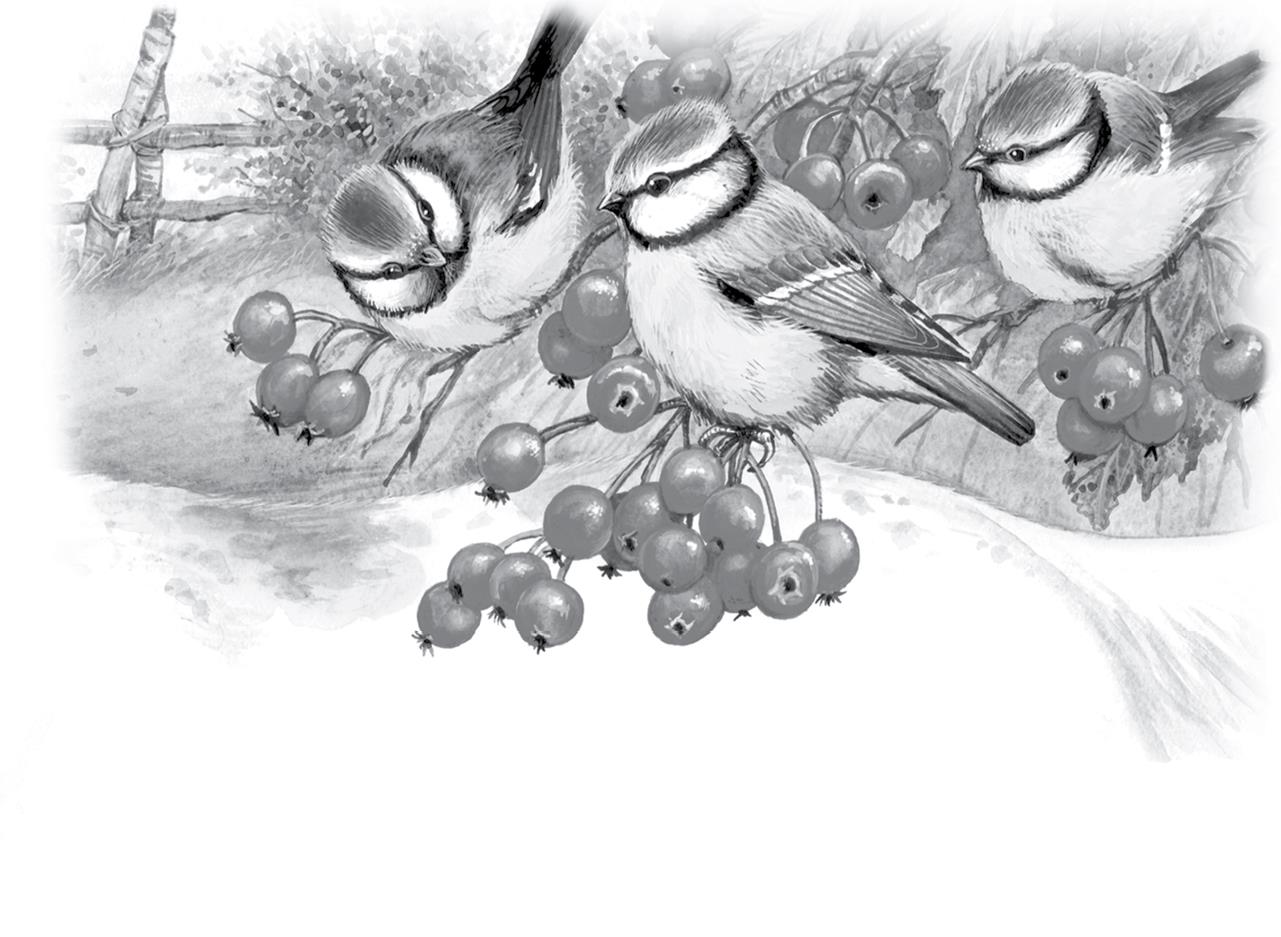Птицы под снегом - пришвин михаил михайлович » онлайн библиотека книг читать онлайн бесплатно и полностью