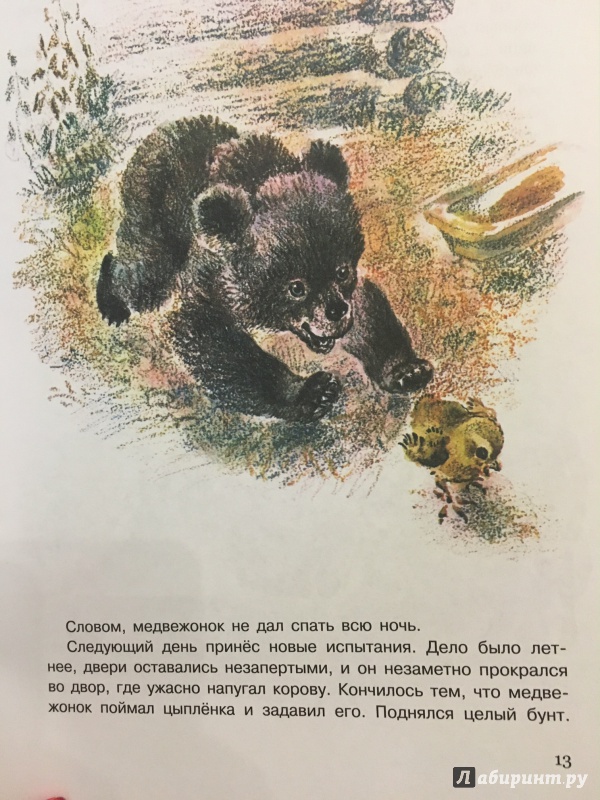 Сказка медведко читать онлайн дмитрий мамин-сибиряк
