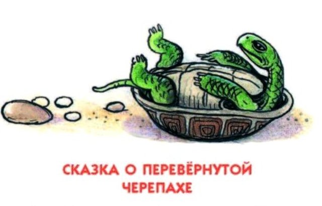 Пляцковский. сказка «о перевернутой черепахе» текст читать