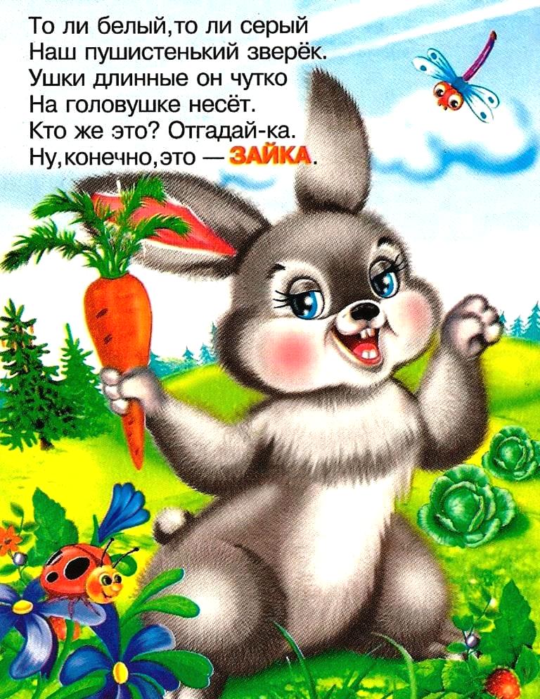Загадки про зайца для детей для детей 3-4, 5-6, 7-8 лет