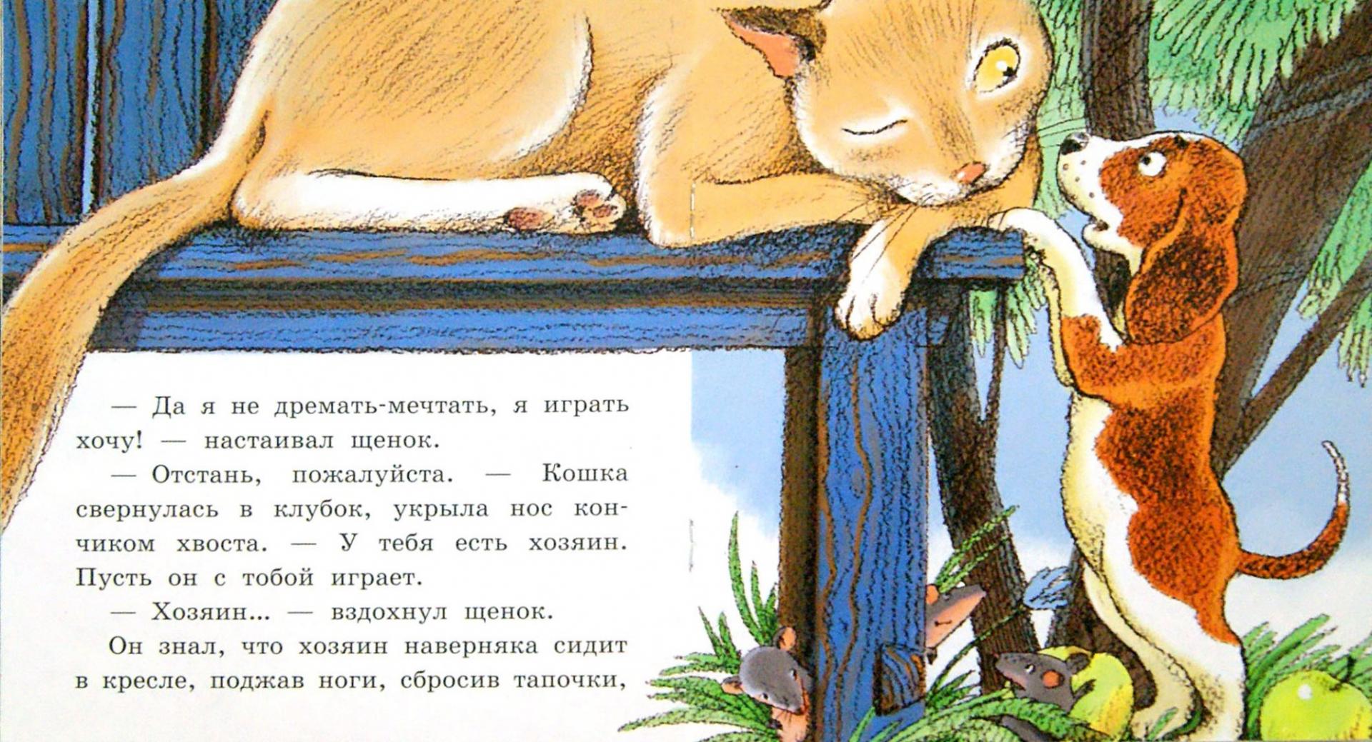 Короткие и смешные «кошкины рассказы»: про кошку, котов и нас с вами