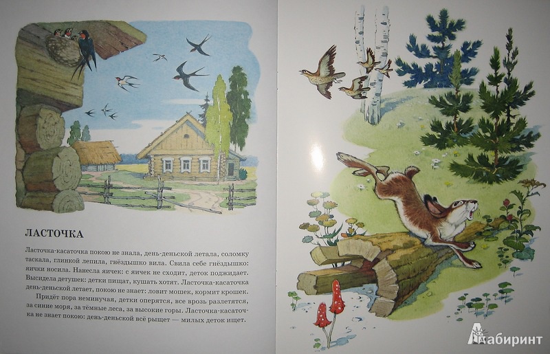 Ушинский к. д. рассказы для детей о природе читать онлайн