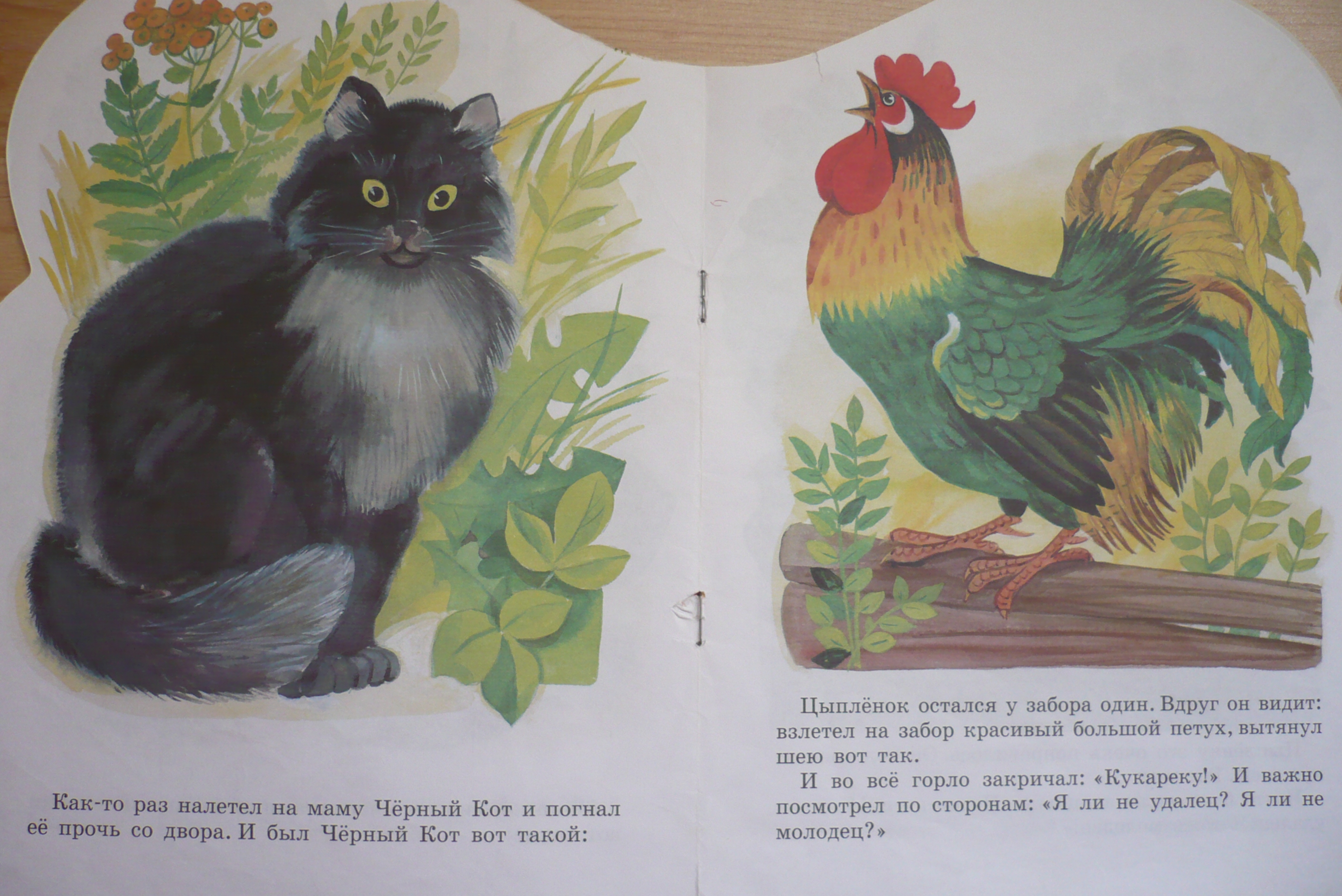 Поиск материала «цыпленок, чуковский к., 1989» для чтения, скачивания и покупки