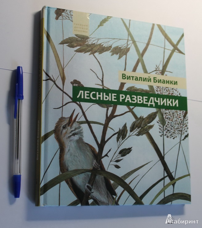 Виталий бианки ★ лесные разведчики (сборник) читать книгу онлайн бесплатно
