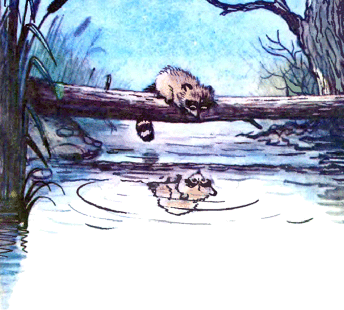 Крошка енот и тот, кто сидит в пруду — муур л. сказка про улыбку.