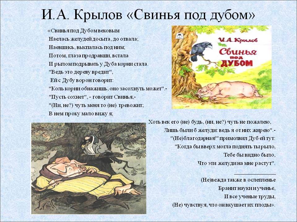 Содержание, анализ и мораль басни крылова «свинья под дубом» - tarologiay.ru