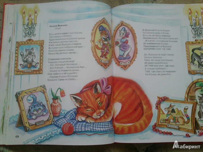 Краткая кошачья книжка | zakharov.ru