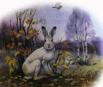 Заяц, косач, медведь и весна — сказка виталия бианки