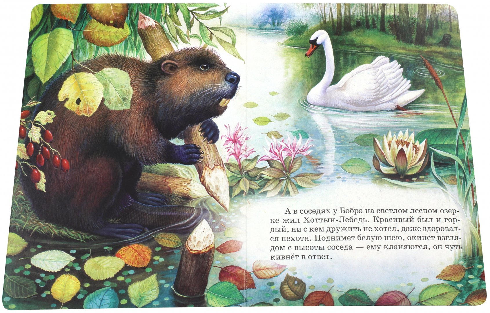 Книга сказки и рассказы про животных читать онлайн бесплатно, автор виталий бианки – fictionbook