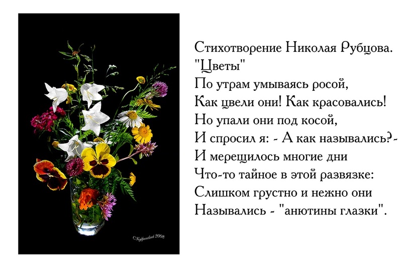 Стихи про цветы для детей - я happy мама