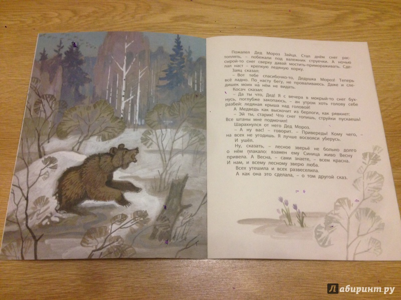 Заяц, косач, медведь и весна: сказка виталия валентиновича бианки читать онлайн