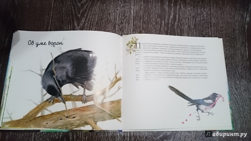 Книга про ворона