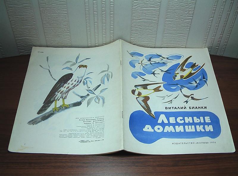 Белая чайка – птица красной книги россии, фото, описание, где обитает