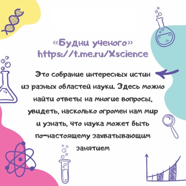 CHIPS journal обновил для вас список полезных каналов в Telegram для всех молодых родителей ознакомьтесь с ним сейчас