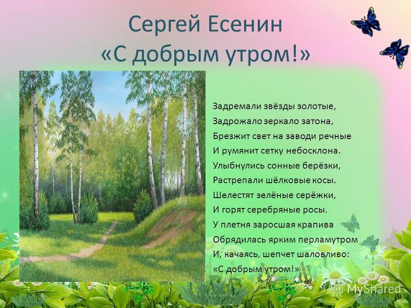 Есенин Стихи о Родине и природе, короткие, красивые, лёгкие для заучивания