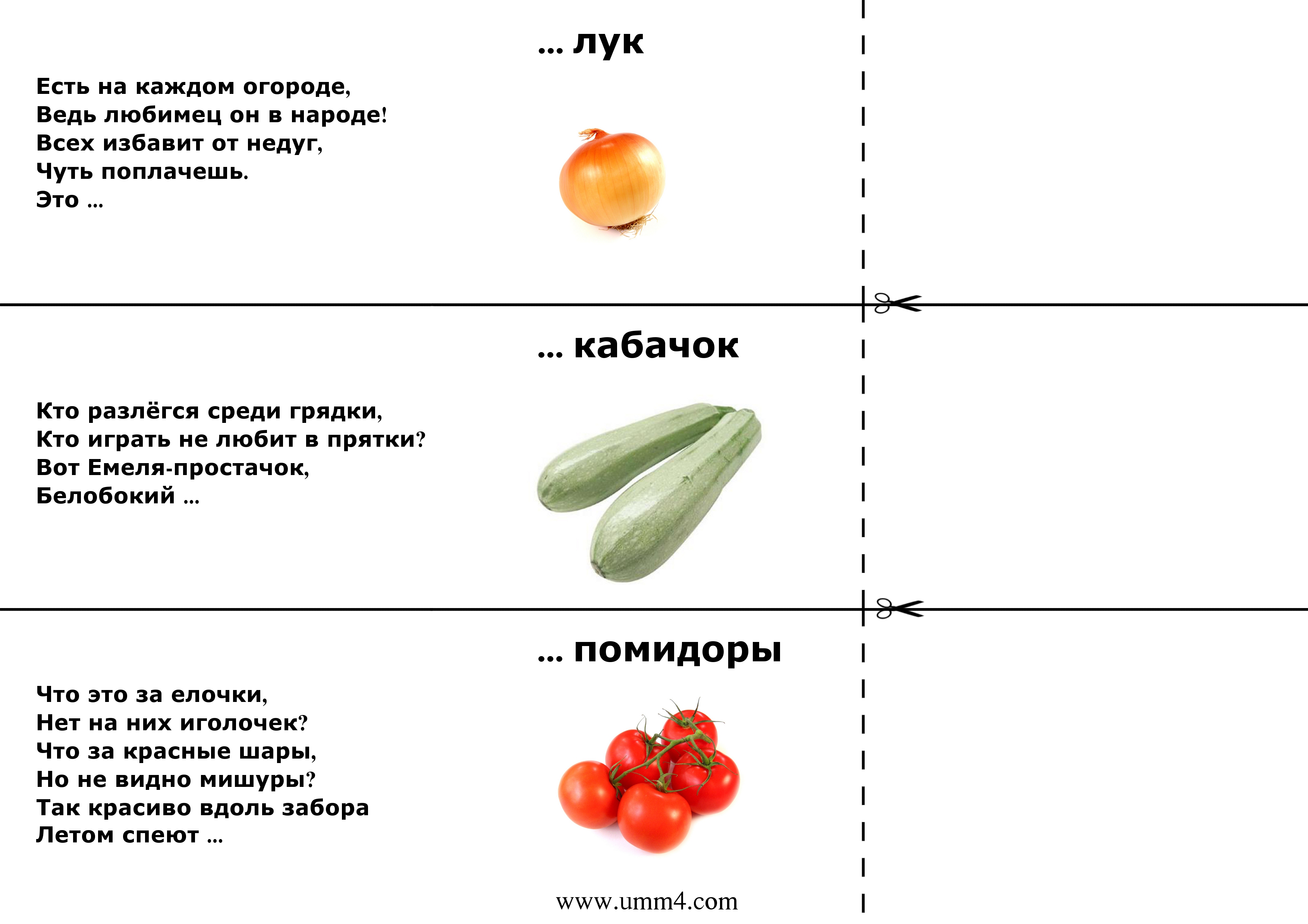 Загадки про картофель (картошку) для детей - lipesinka.ru