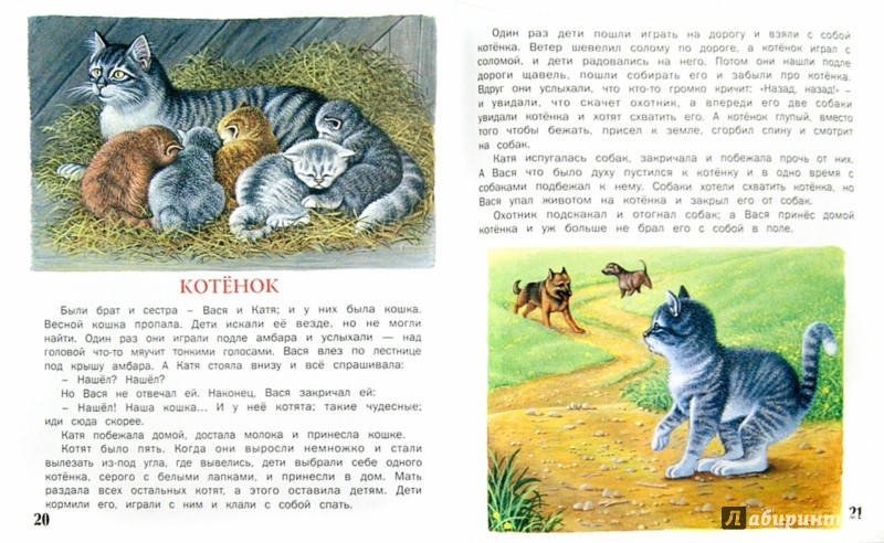 Лев толстой. рассказ «котёнок. булька — лев толстой л толстой котенок читать полностью