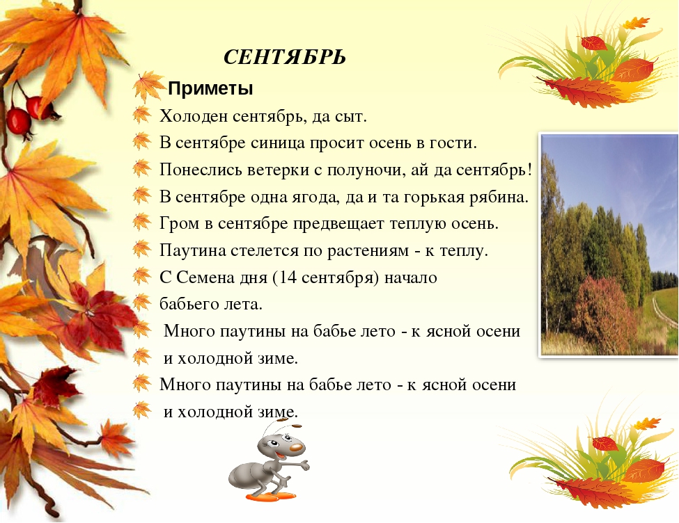 Октябрь первый холодный месяц осени впр. Приметы осени сентябрь. Стихи про месяцы осени для детей. Приметы осени для дошкольников. Календарь природы осень.