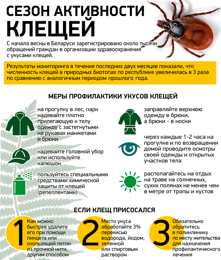 Под охраной: как защитить ребёнка от клещей
