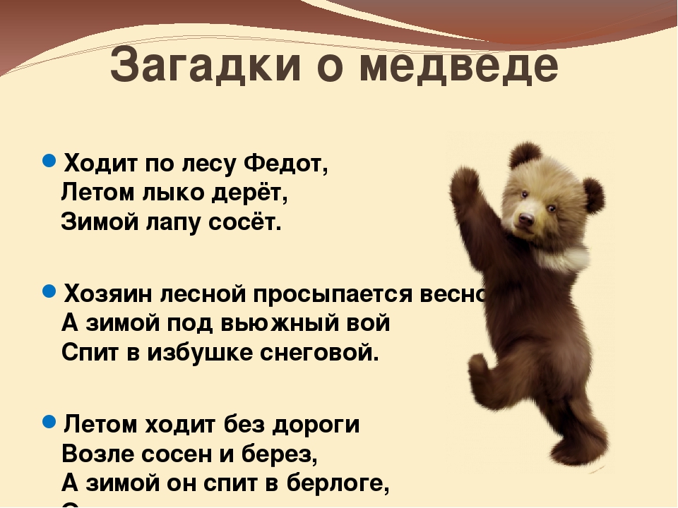 Пословицы и поговорки о медведе для детей и родителей