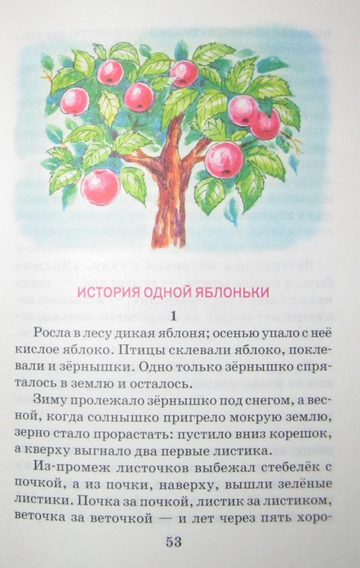 Конспект занятия «яблочные посиделки»