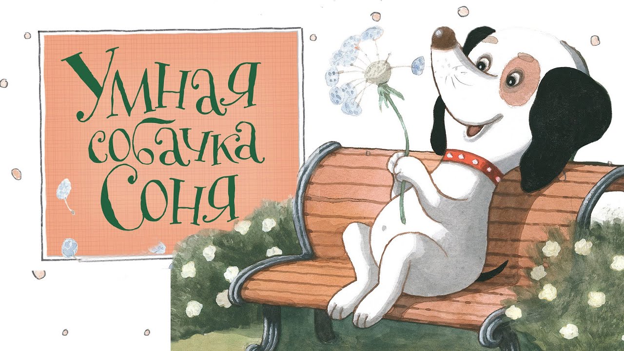Андрей усачев - умная собачка соня (litres) » книги читать онлайн бесплатно без регистрации