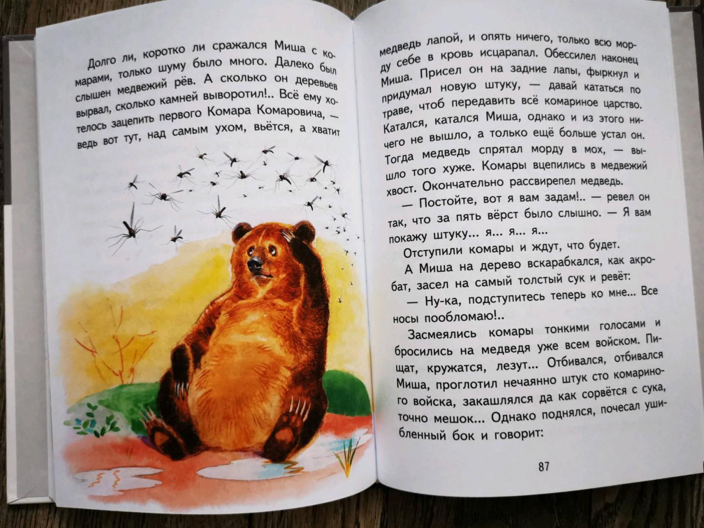 Краткое содержание медведко мамин-сибиряк для читательского дневника